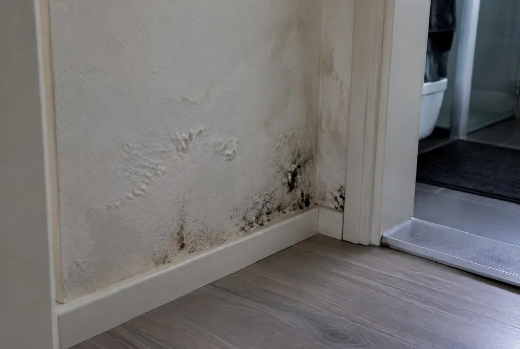 Lekdetectie Voorthuizen – vochtplek met schimmel op een muur